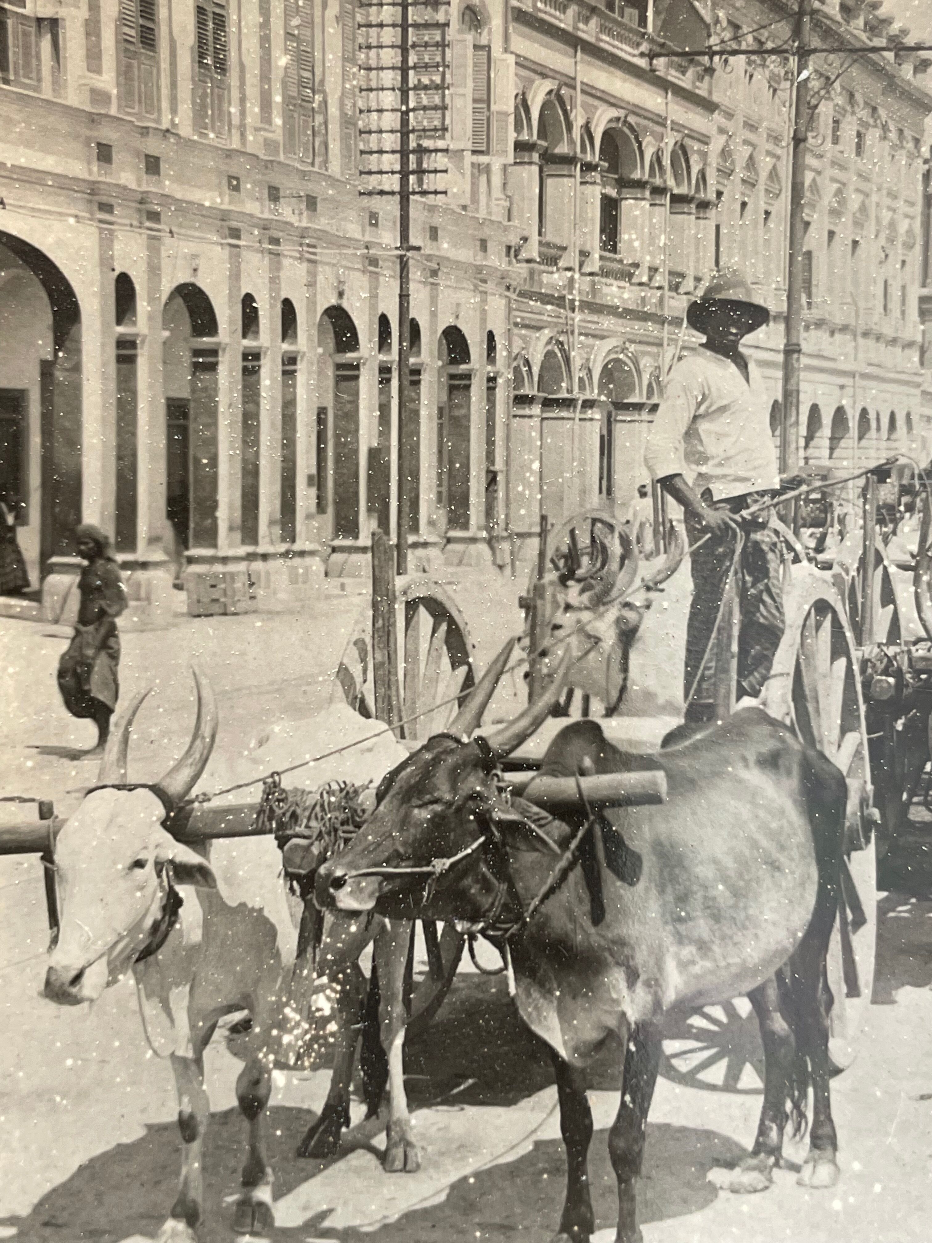 Old photography stereo, stereograph, luxury albumine 1903 quai de Penang