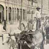Old photography stereo, stereograph, luxury albumine 1903 quai de Penang