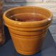 Mustard planter