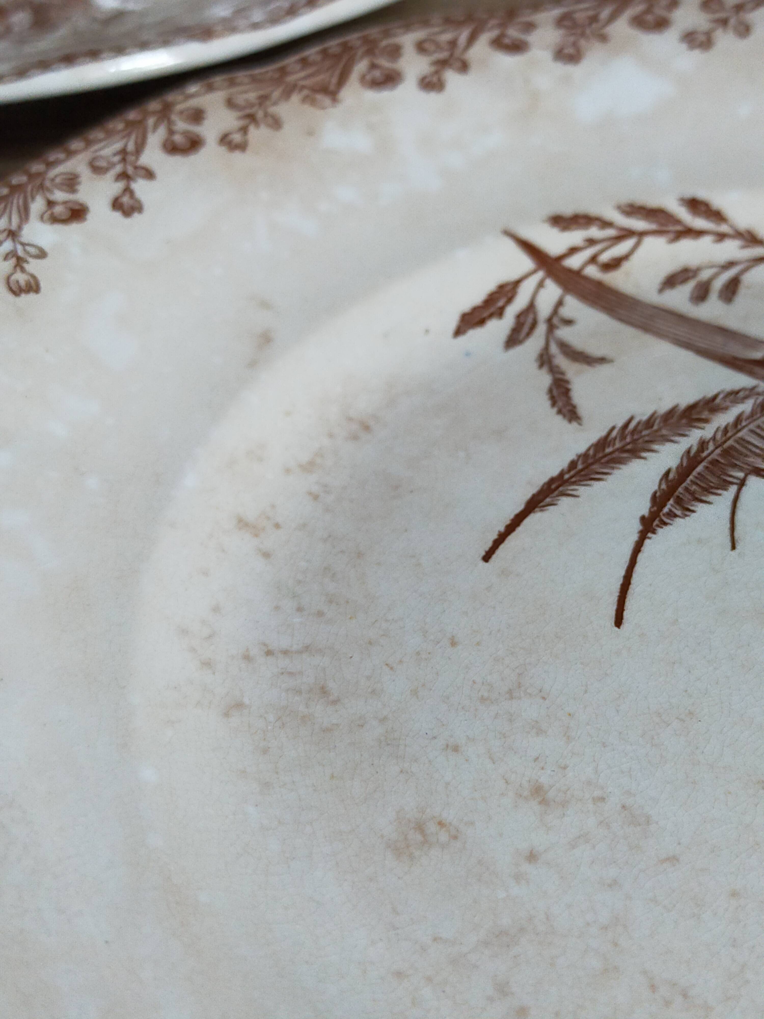 Seven iron earth dessert plates with birds ffPexonne late 19th century