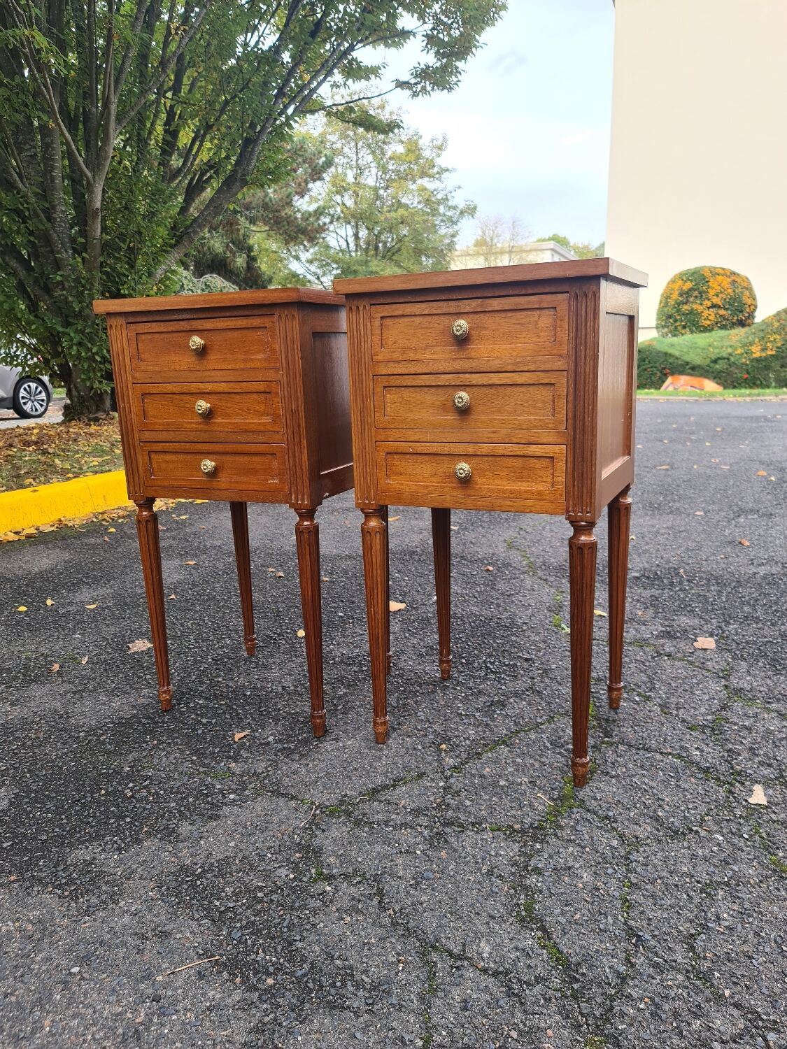 Pair of Louis XVI bedsides