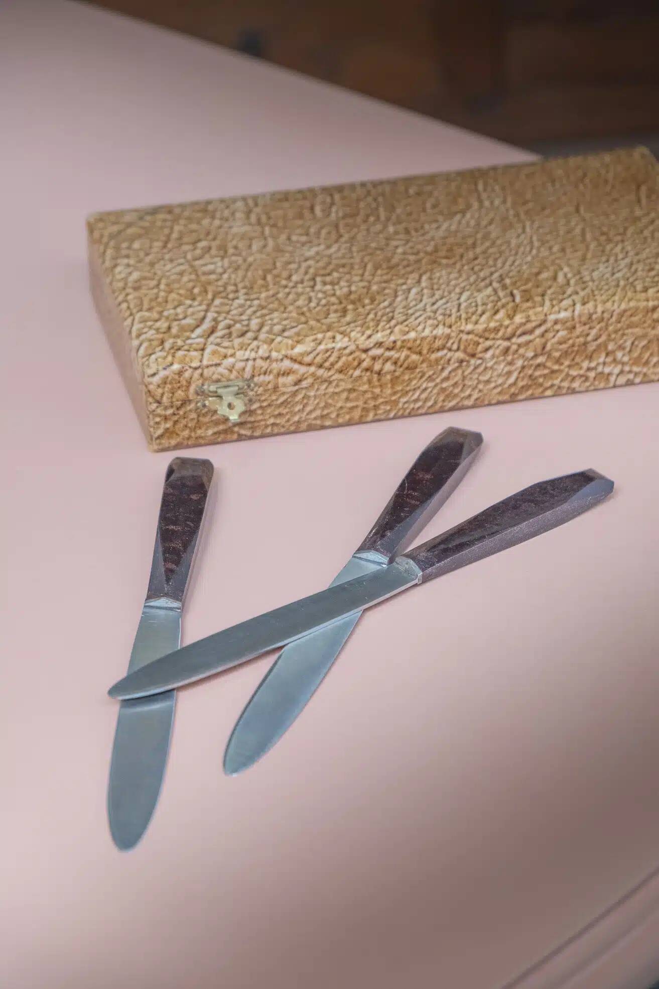 Set of 12 knives in "Clarisse" case