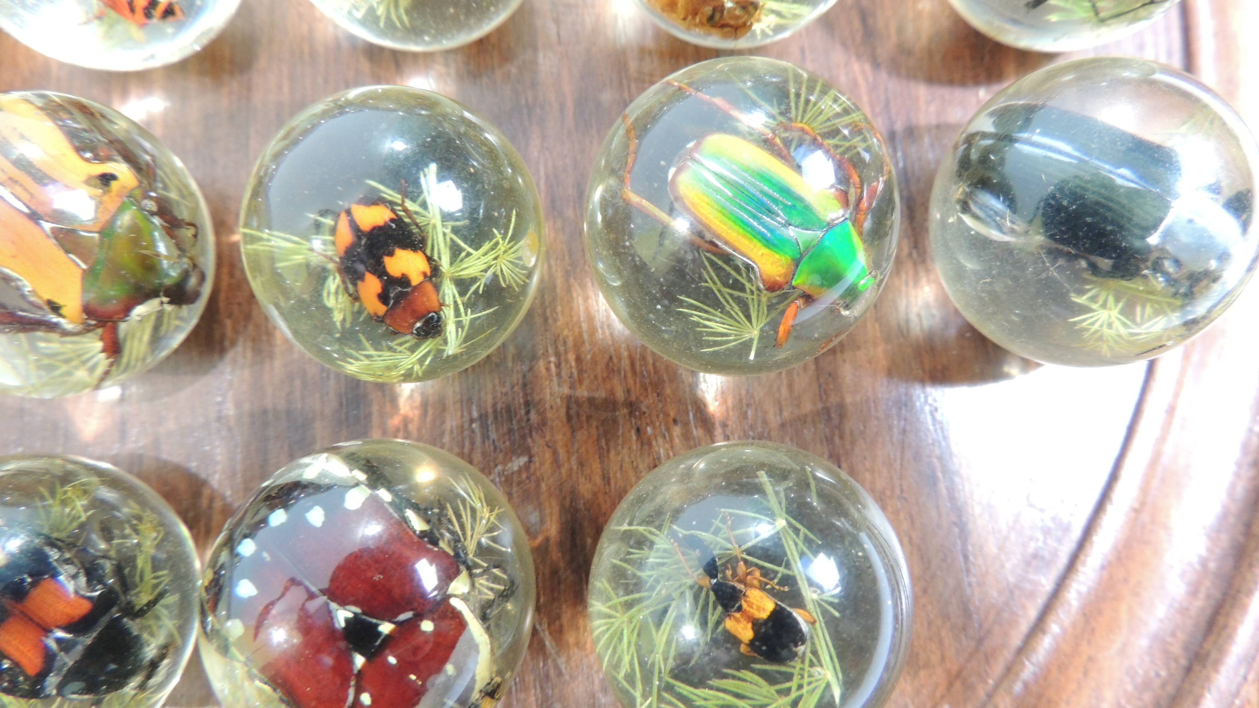 Vintage wooden carved solitaire game – Resin balls with insects –