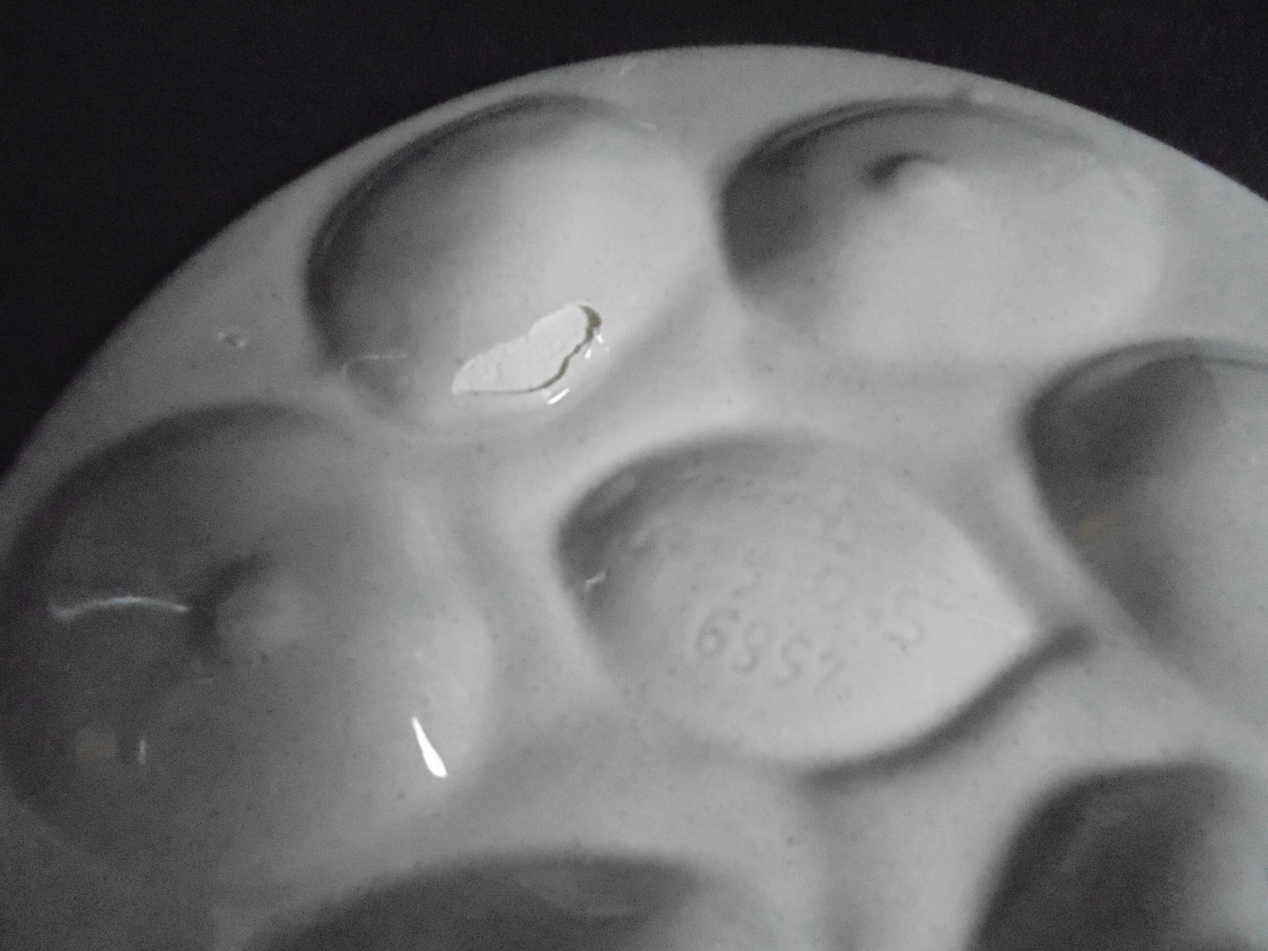 12 Saint Clement oyster plates