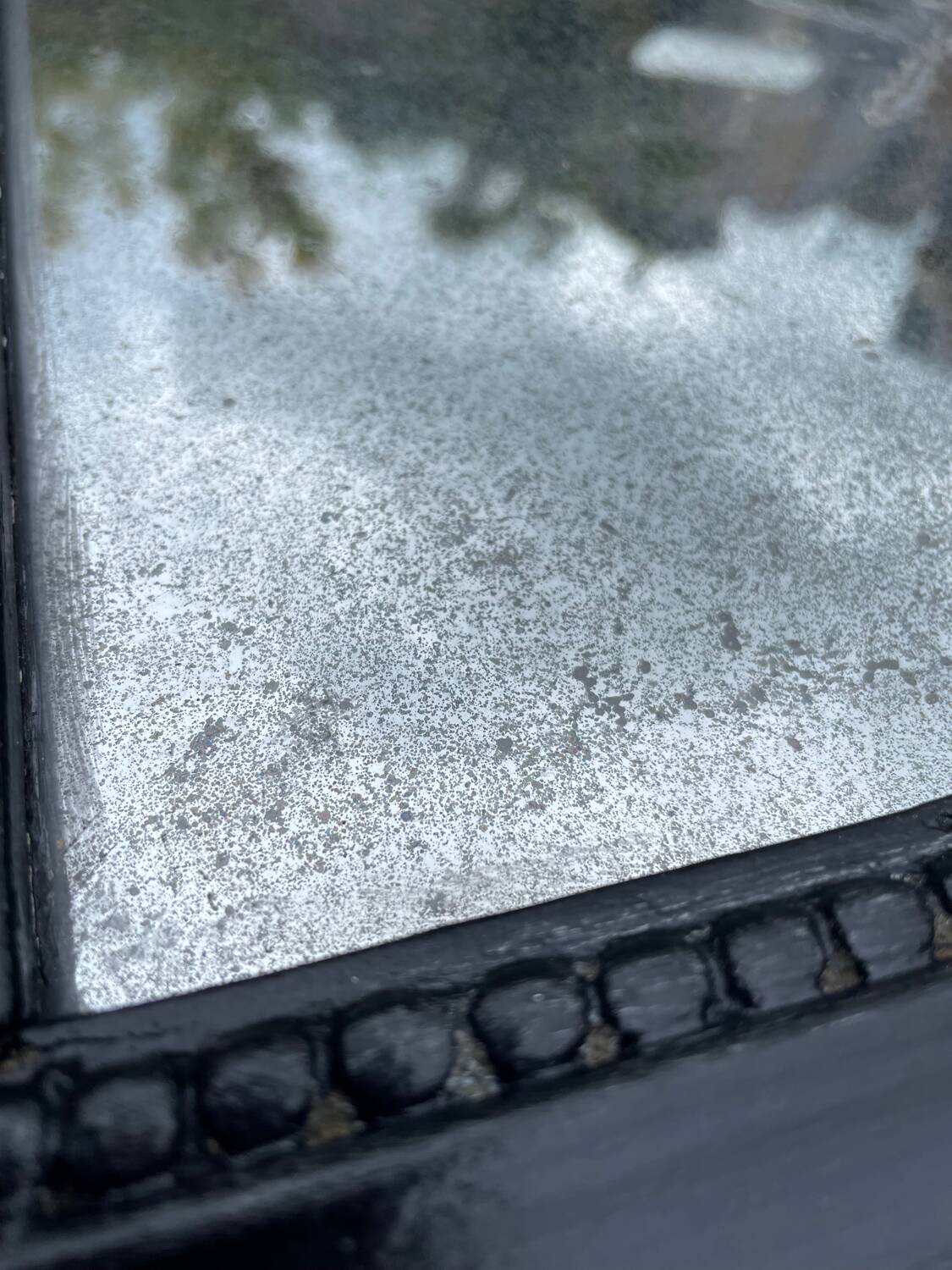 Louis Philippe mirror black stained mirror