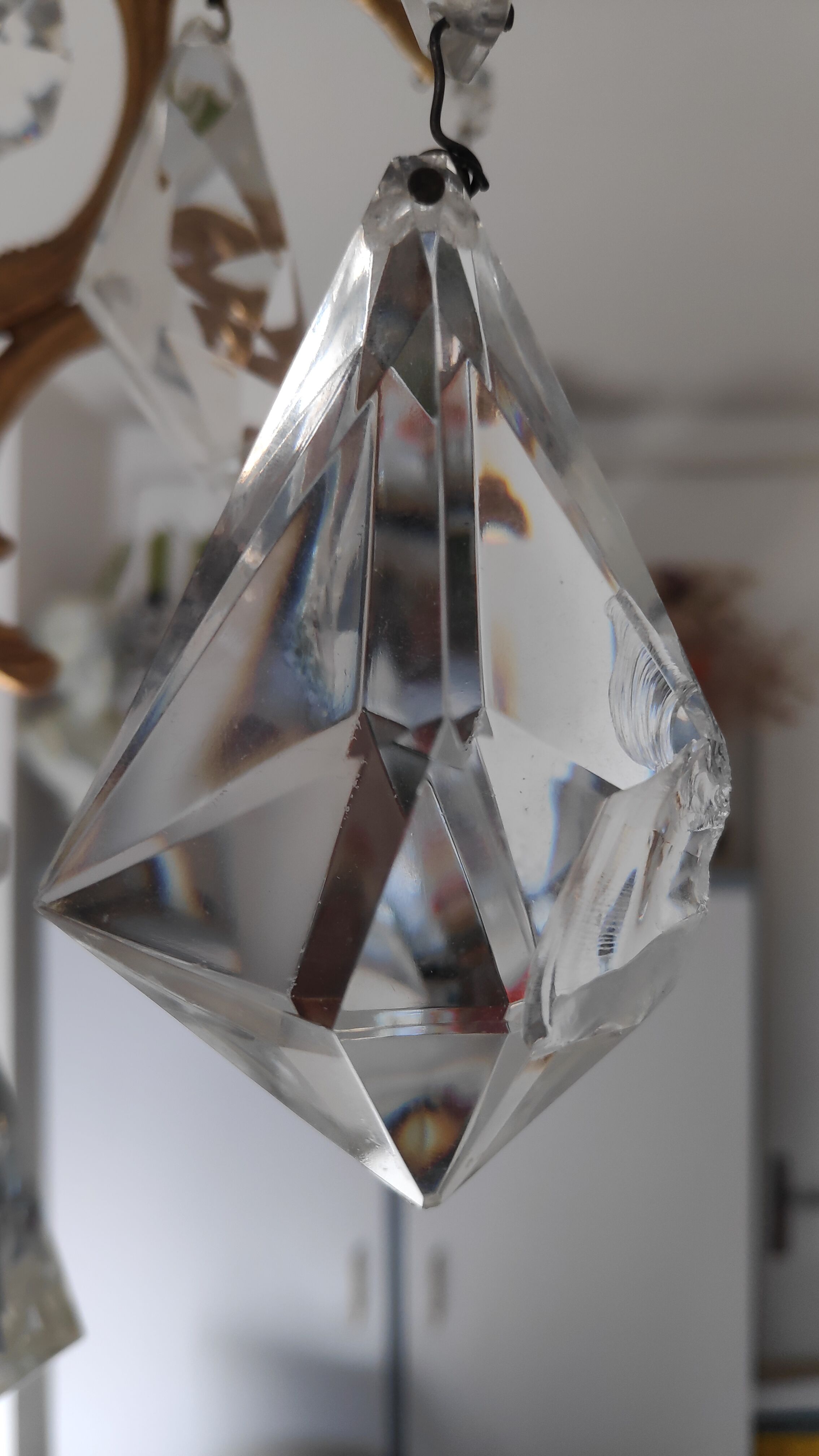 Bronze cage chandelier and crystal grapevines