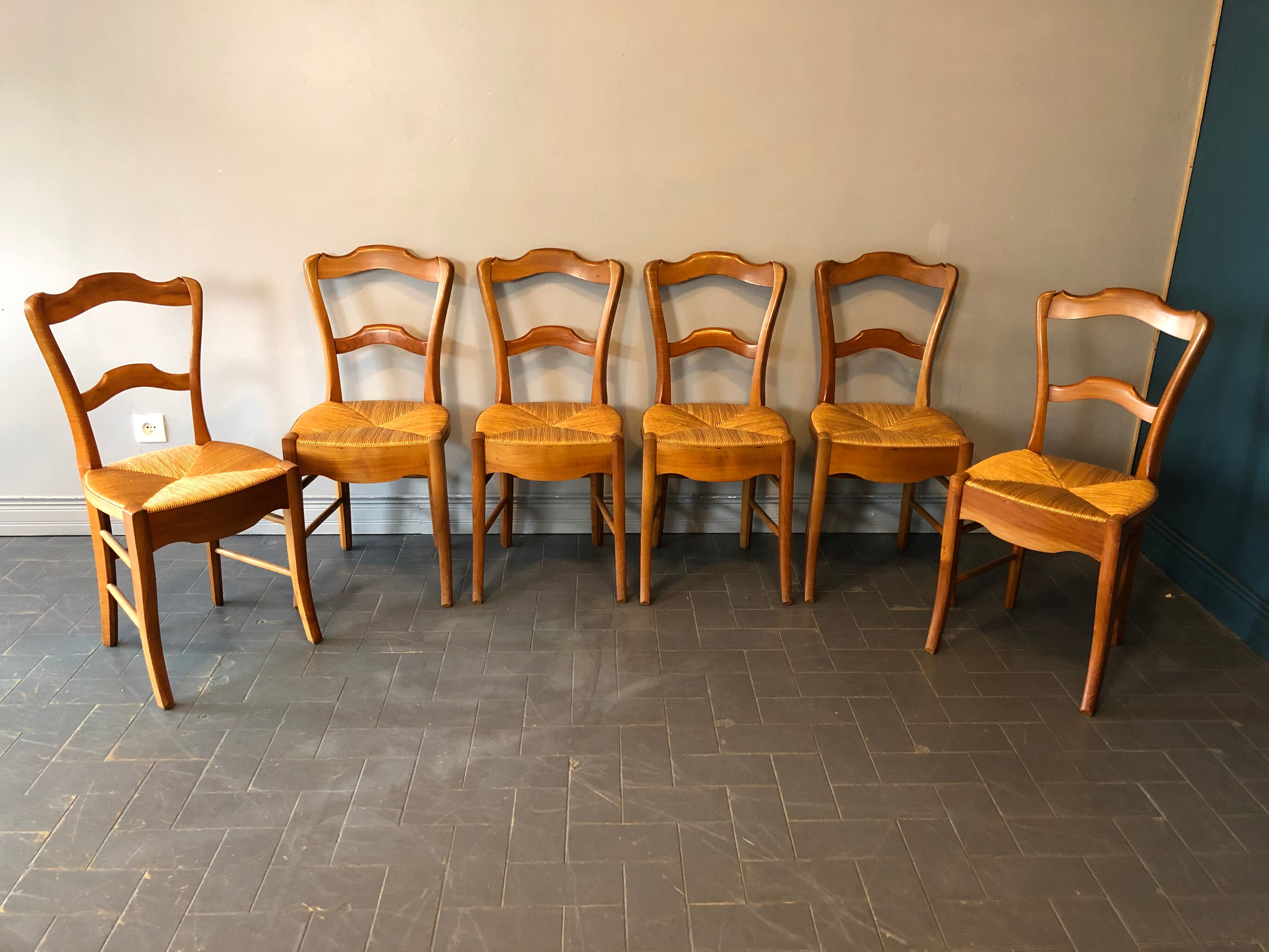 6 old chairs in cherry tree