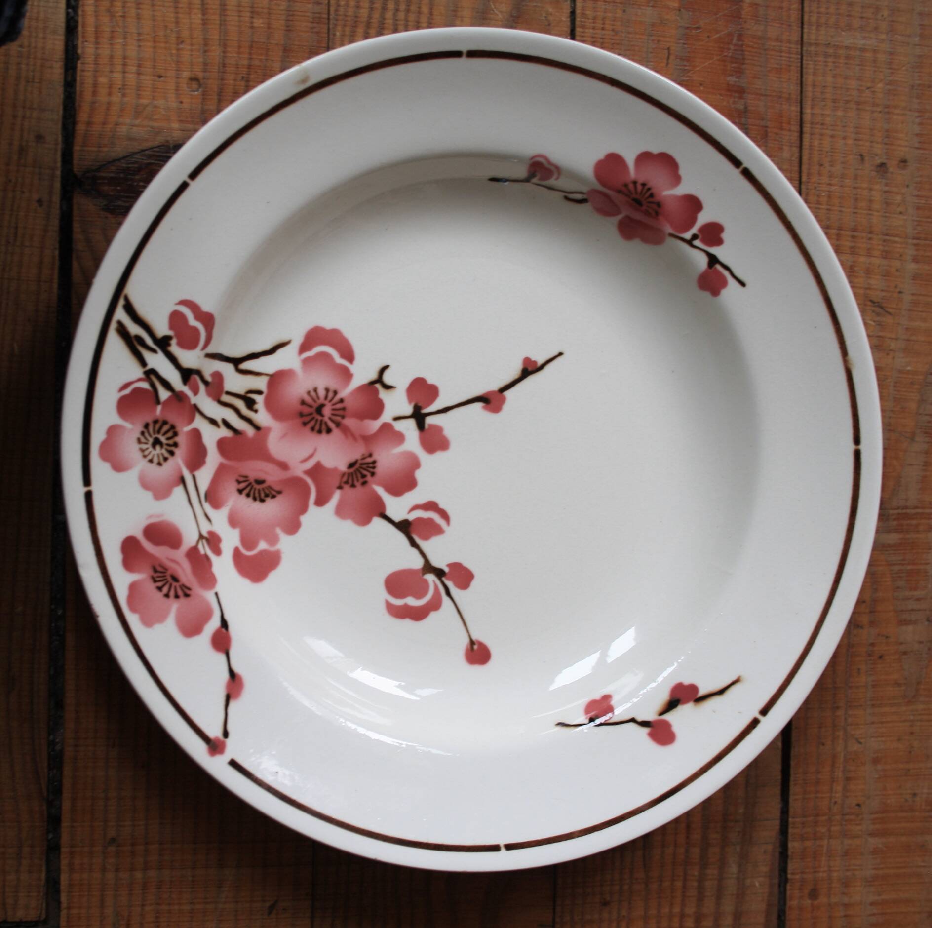 Set of 6 Terre de Fer St Amand "cherry" deep plates