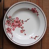 Set of 6 Terre de Fer St Amand "cherry" deep plates