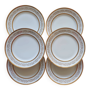 6 assiettes en porcelaine