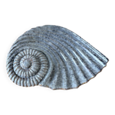 Shell-shaped ceramic catchall.