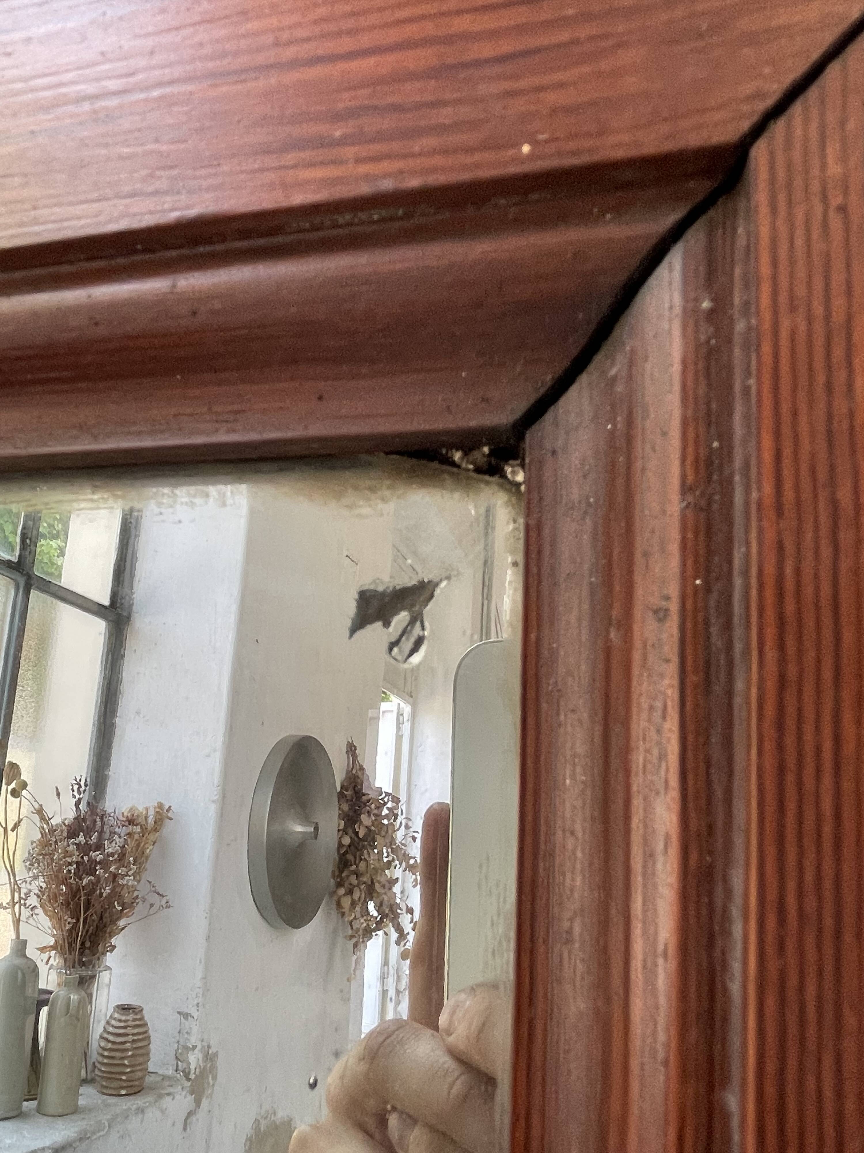 Late 19th century XL wooden mirror