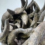 Bété Nyabwa mask Ivory Coast