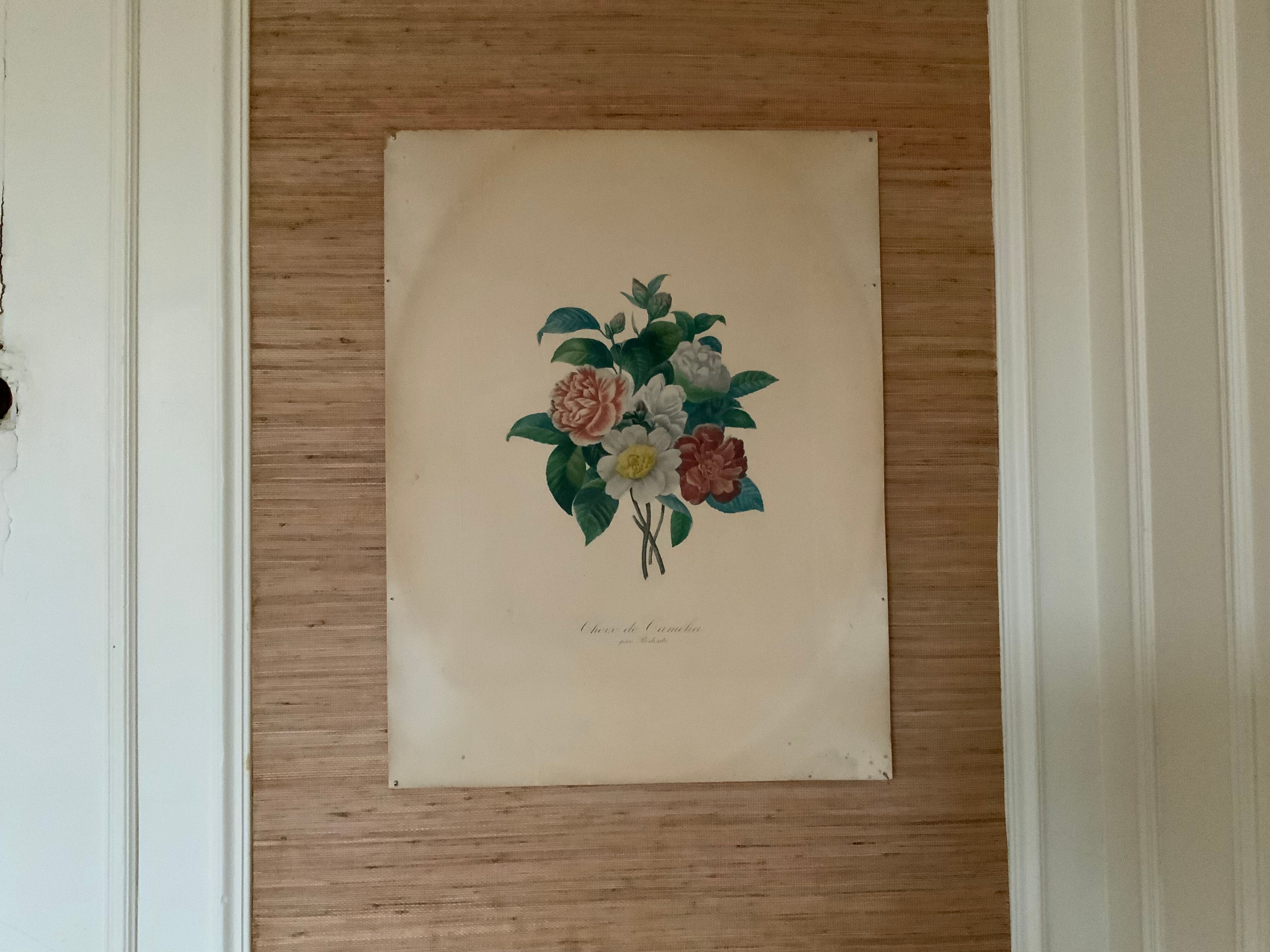 Pair of plates or botanical engravings XVIII
