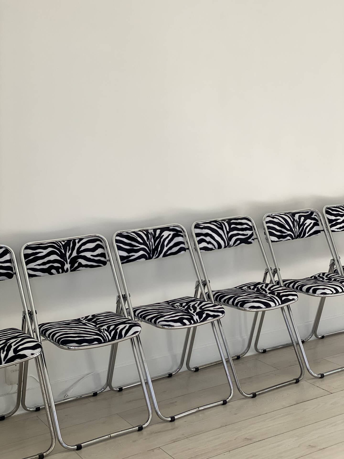6 zebra folding chairs