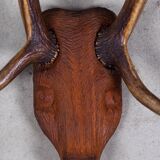 Antlers on carved wooden head, Danish design, 1960s