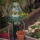 Demijohn