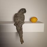 Decorative cast iron parrot