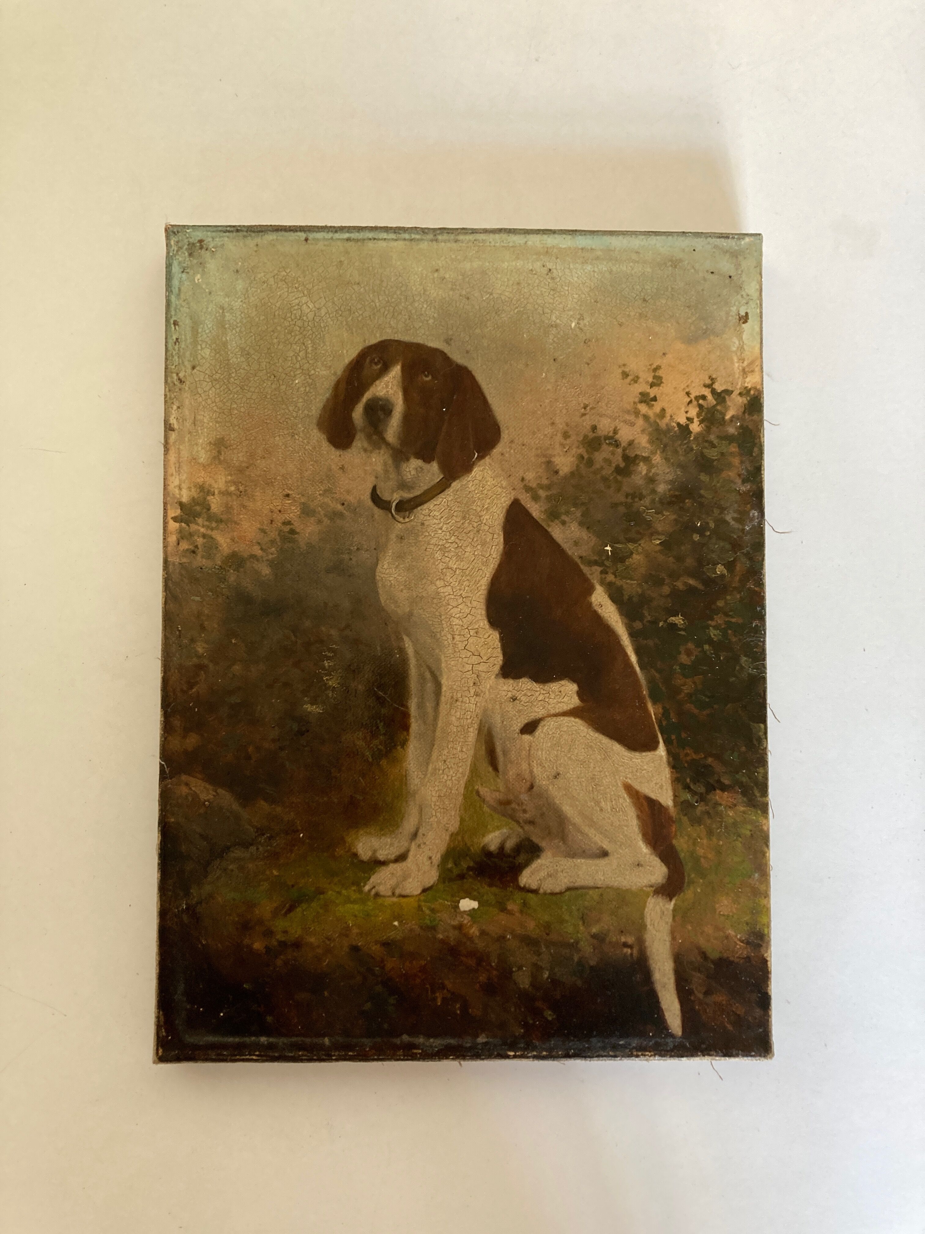 Portrait of country dog oil on canvas 1900