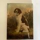 Portrait of country dog oil on canvas 1900