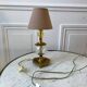 Pair of table lamps in bronze and glass early twentieth century