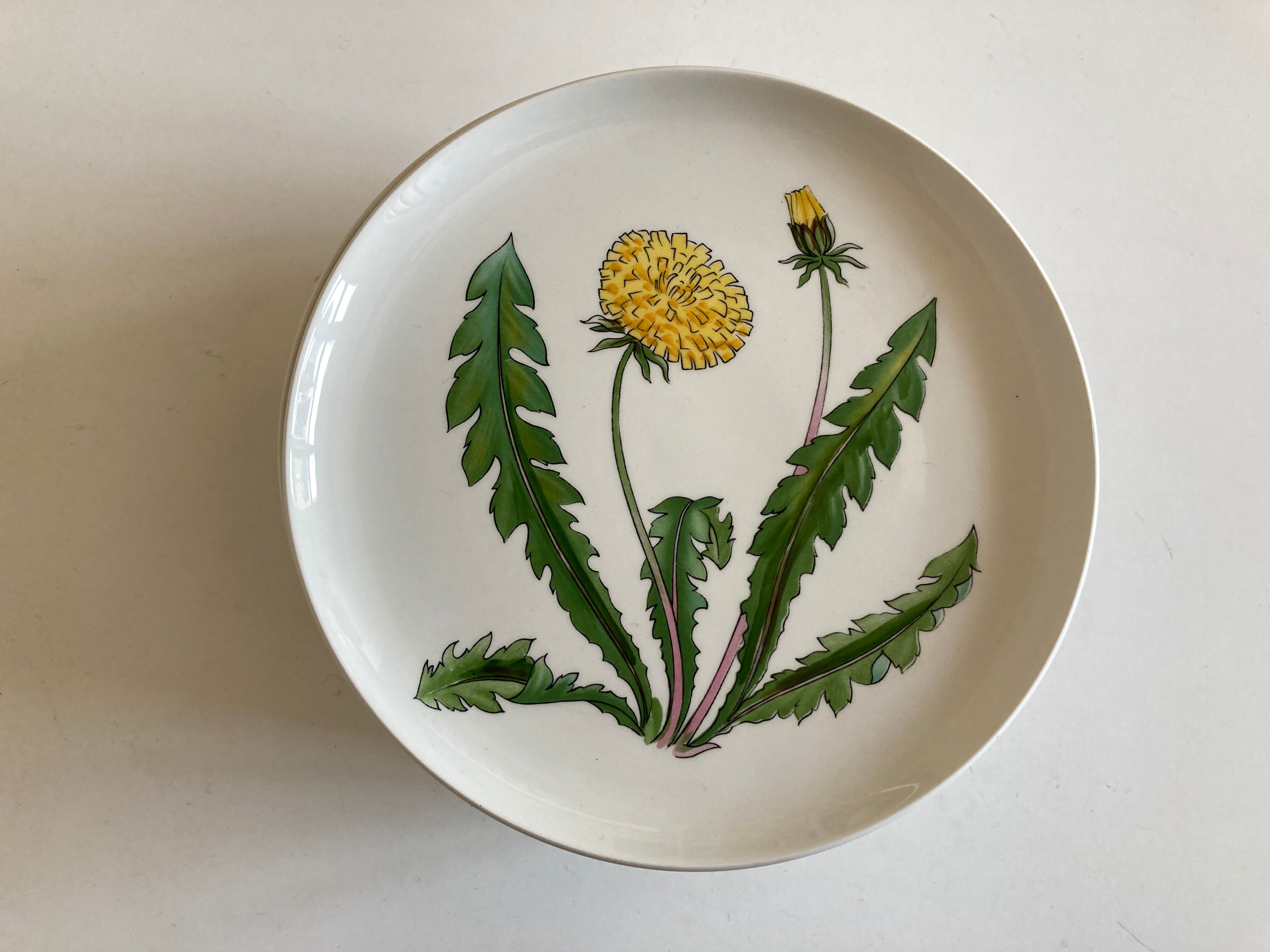 Set 11 assiettes fleurs Rorstrand Sweden Flora 1970
