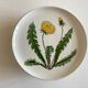 Set 11 assiettes fleurs Rorstrand Sweden Flora 1970