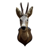 Deer head