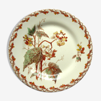 Art Nouveau plate, GIEN polychrome opaque porcelain, Bégonias
