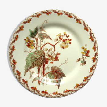 Assiette art nouveau porcelaine opaque polychrome signée gien, bégonias