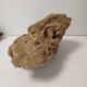 Natural wind-carved sand rose – +7 kg decorative mineral