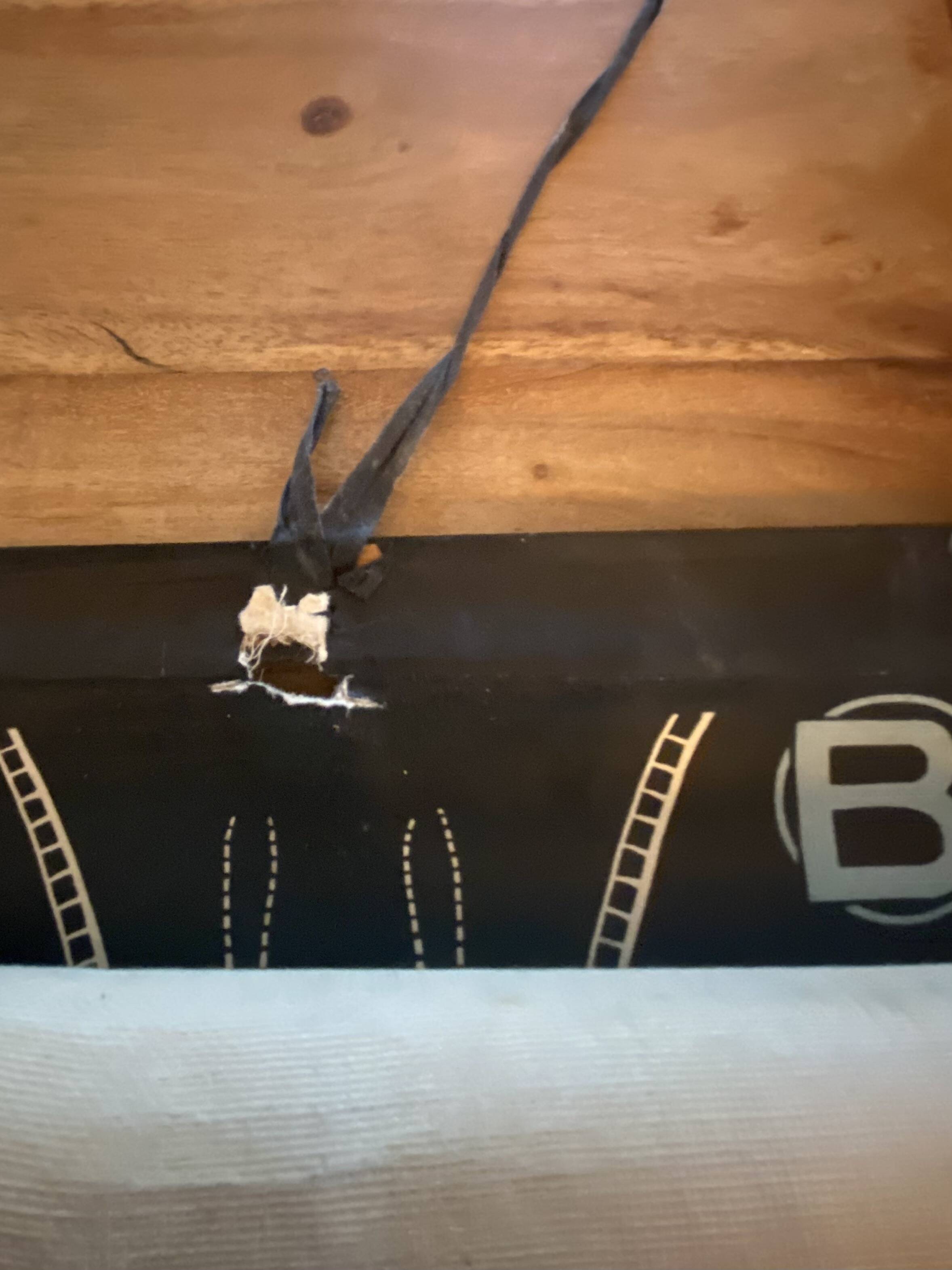 Poster Dr Auzoux, Paul Sougy 1957, No. L THE CRAYFISH