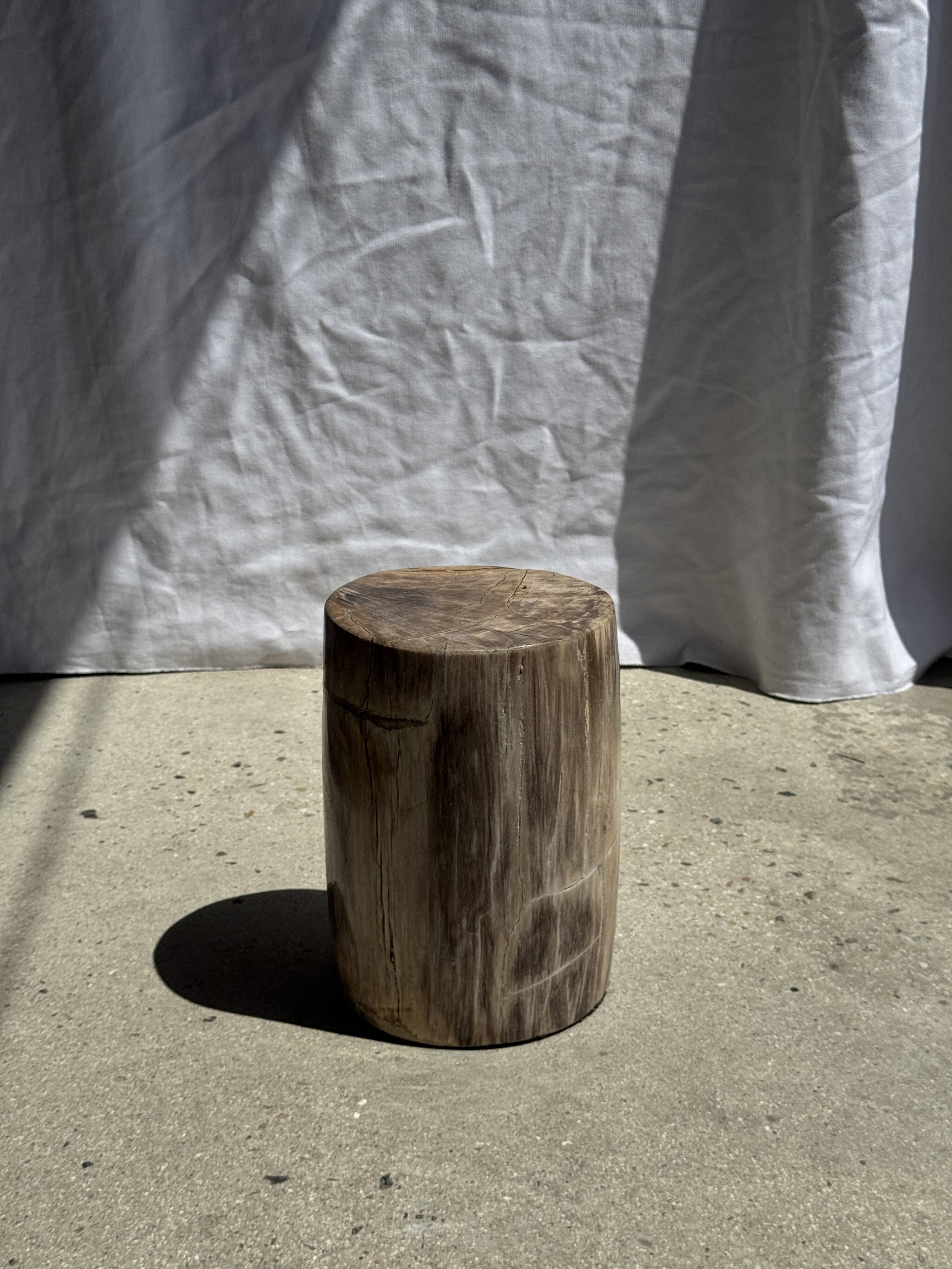 Petite table d'appoint en bois pétrifié beige gris H28 D18 - 3325