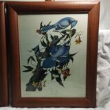 set of 3 reproductions of old illustrations by John James Audubon