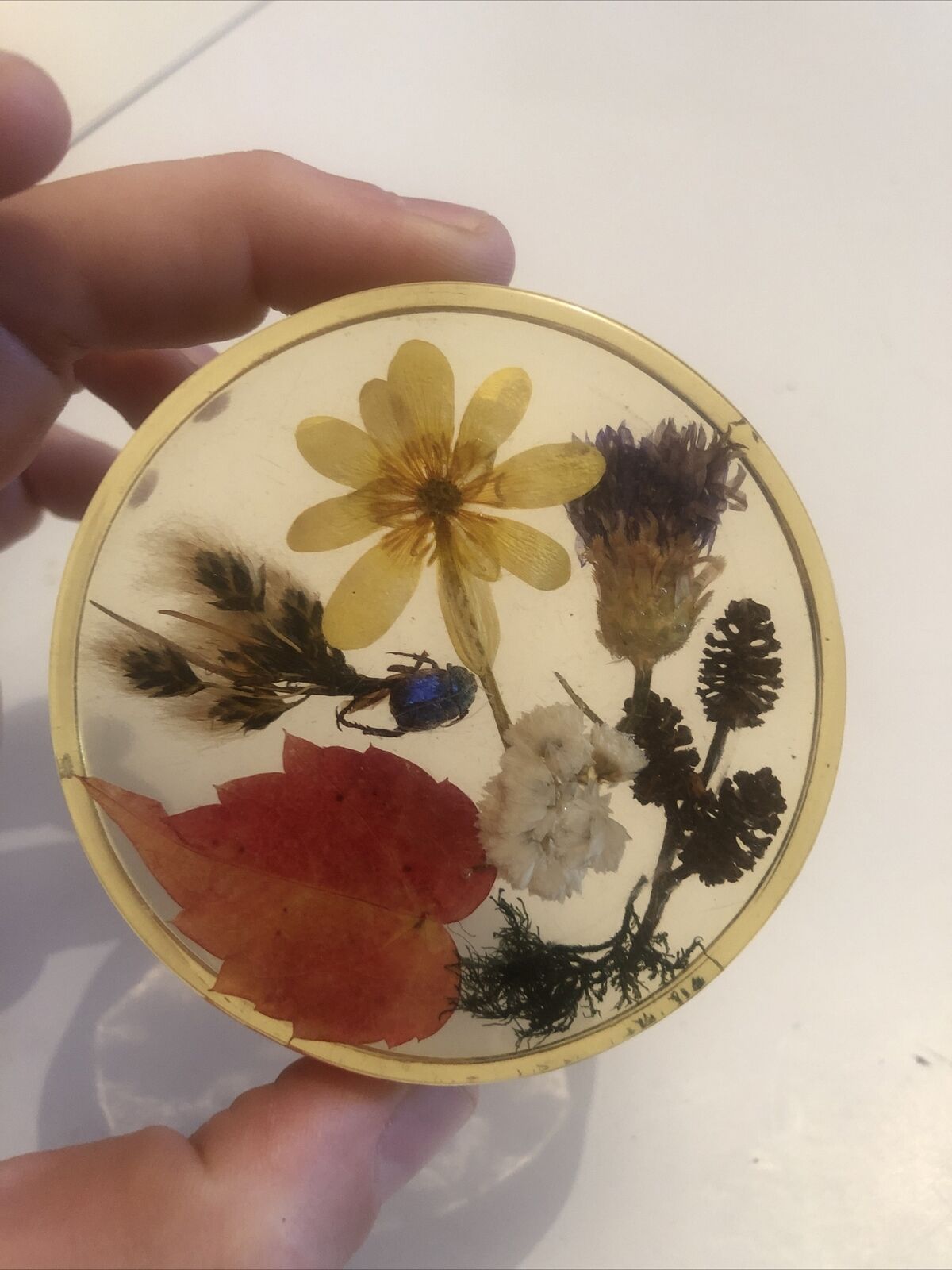 Lot 6 under glass botanical inclusion in resin genuine vintage flowers