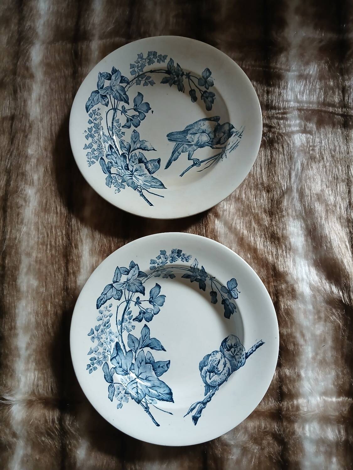10 antique deep plates in ironstone