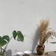 Duo of white ceramic pottery bowls wabi sabi