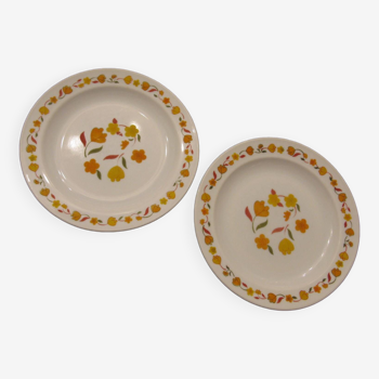 2 assiettes vintage