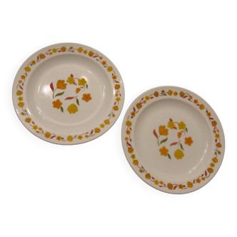 2 assiettes vintage