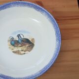 Salad bowl