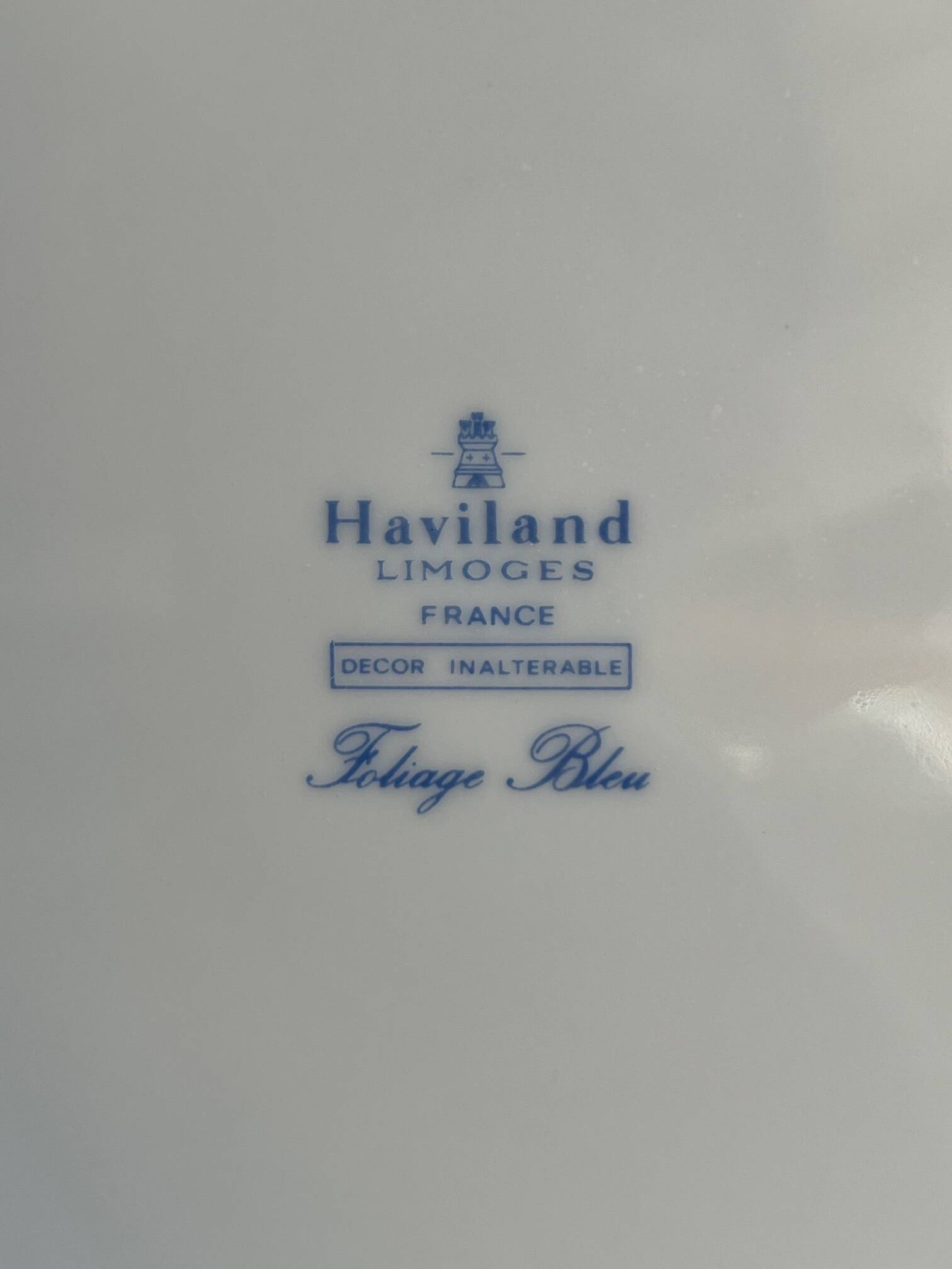 Haviland Limoges Porcelain Dinner and Coffee Service for 12