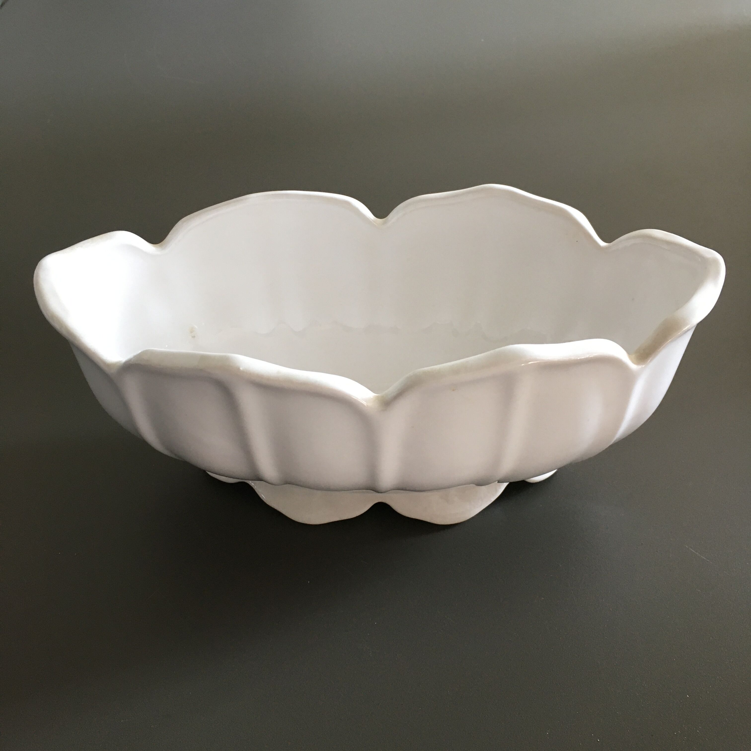 White scalloped gardener