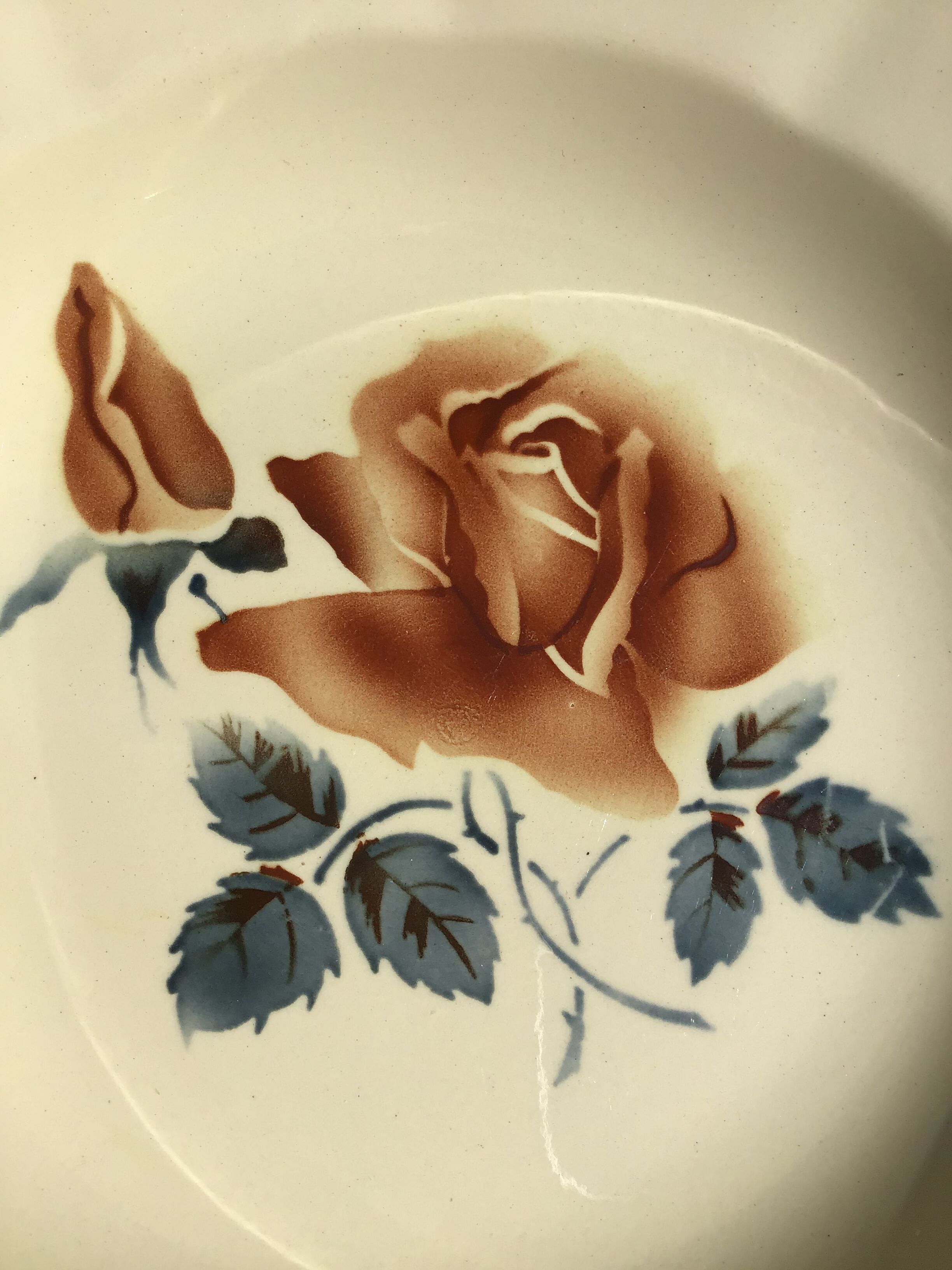 6 Digoin beige caramel edge hollow plates