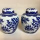 Paire de vases fleurs bleues