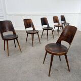 6 chocolate brown Baumann Mondor chairs
