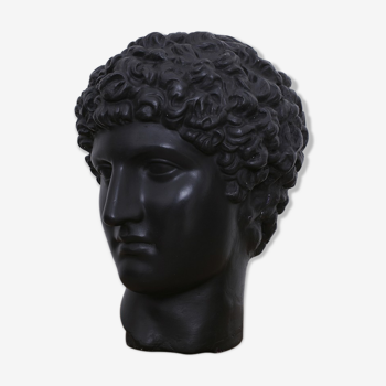 Greek head in waxed black plaster