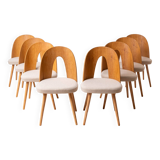 Set of 8 midcentury dining chairs by a.šuman, customizable upholstery available