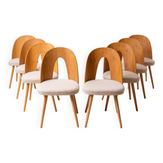Ensemble de 8 chaises à manger midcentury par a.šuman, revêtement personnalisable disponible
