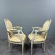 Pair of Medallion Armchairs in Louis XVI Style with Footrests, 20th Century