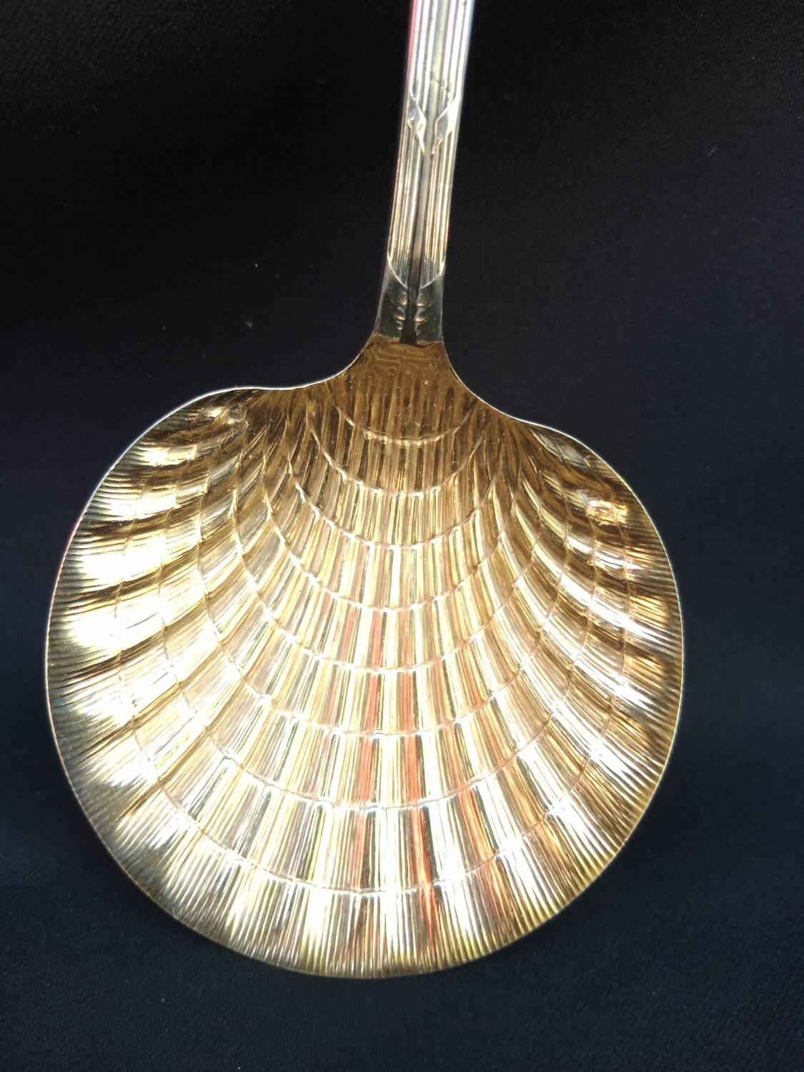 Strawberry shovel XIX.